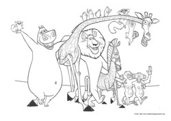Madagascar desenho para colorir 08