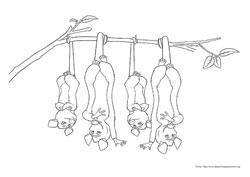 Os Sem Floresta desenho para colorir 09