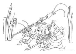 Vida de Inseto desenho para colorir 01